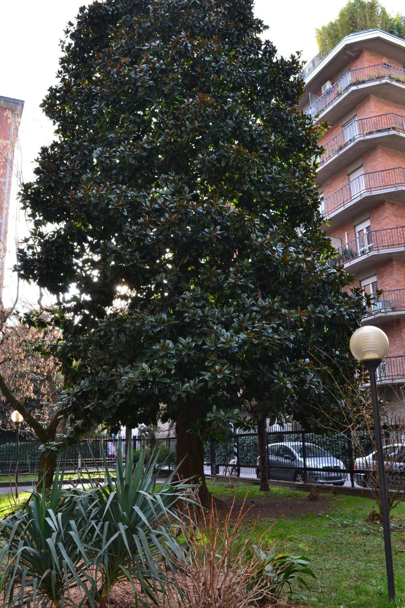 Mocenigo4 Lägenhet Milano Exteriör bild